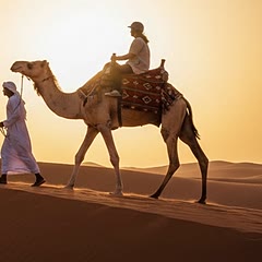 Guided camel ride on the Lahbab red dunes at sunset